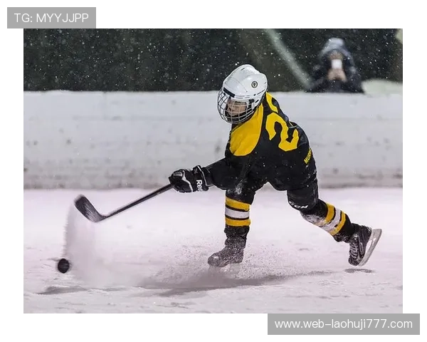 冰球突破豪华版免费试玩开启无限冰球竞技激情与挑战机会