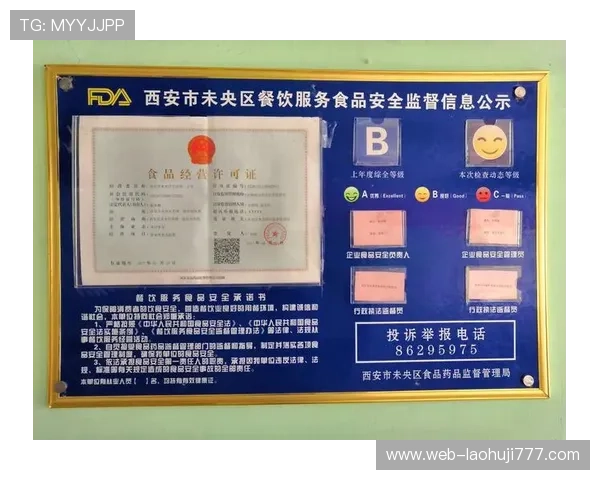 手机版的老虎机安全性分析，保障玩家的资金与信息安全