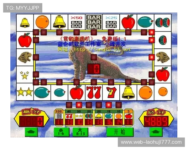 老虎机国际站：国际老虎机站点的技术保障与安全措施详解